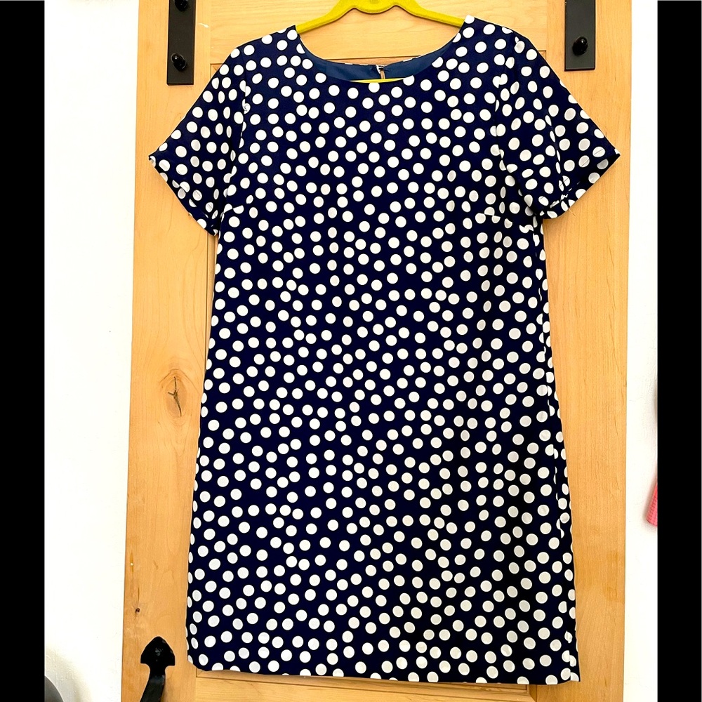 J.CREW Dress